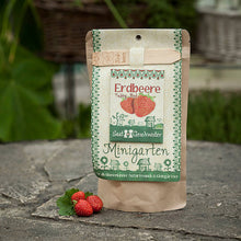 Minigarten Erdbeere "Tubby Red"