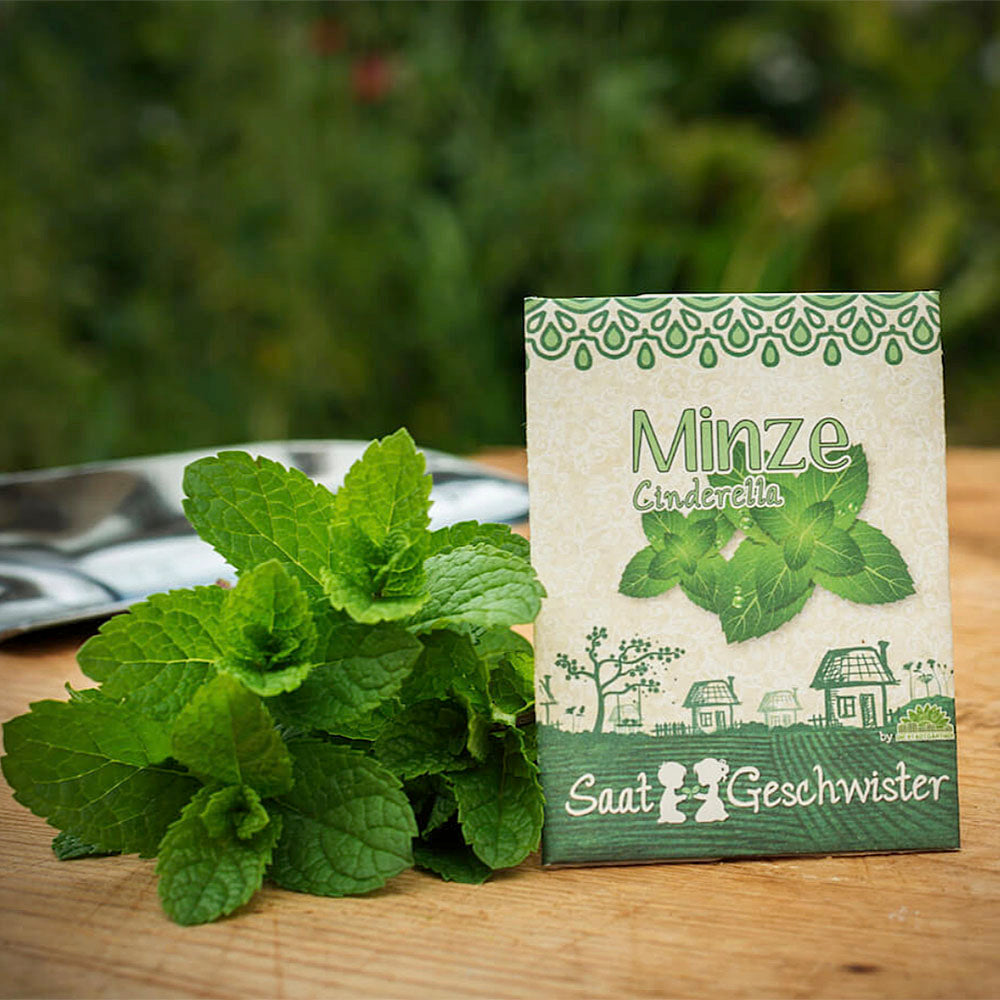 BIO Saatgut Minze 