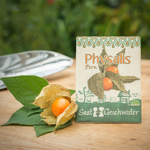 Saatgut Physalis 